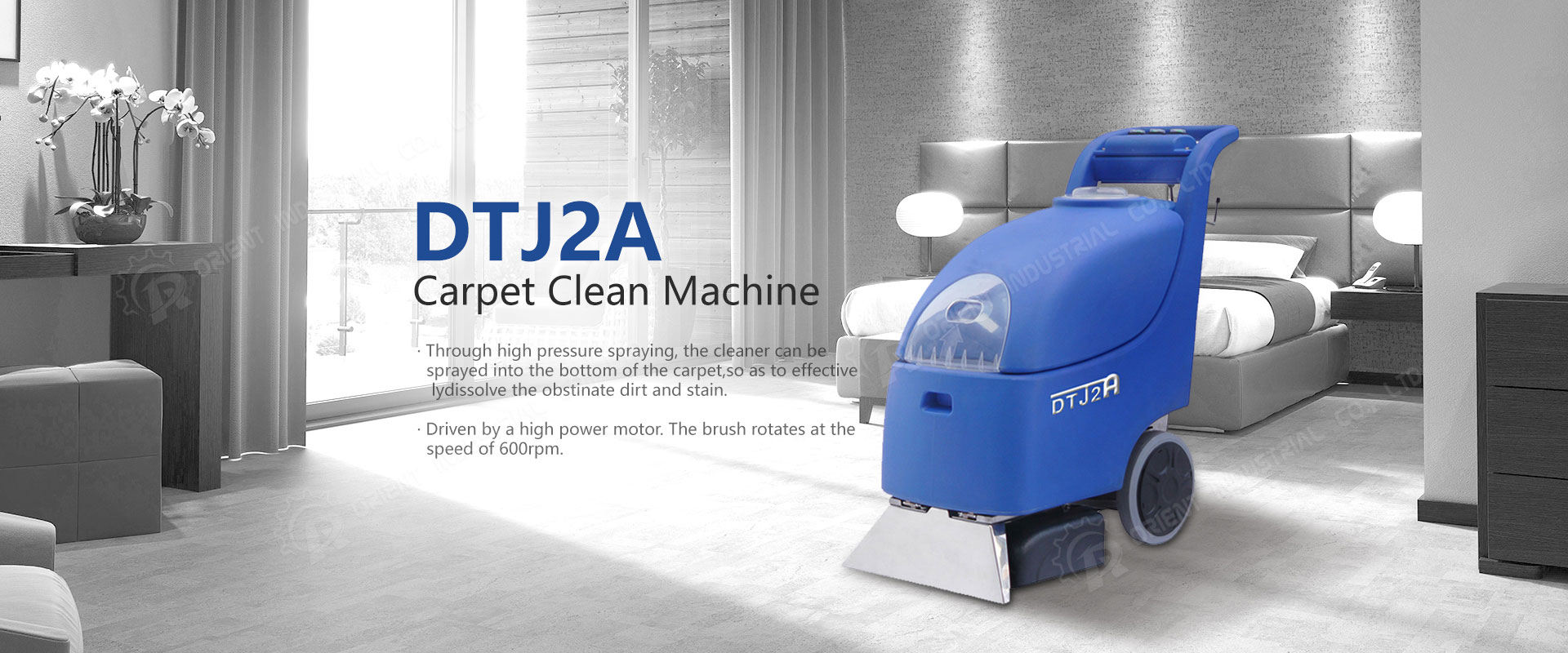 Carpet Cleaning Machine DTJ2A